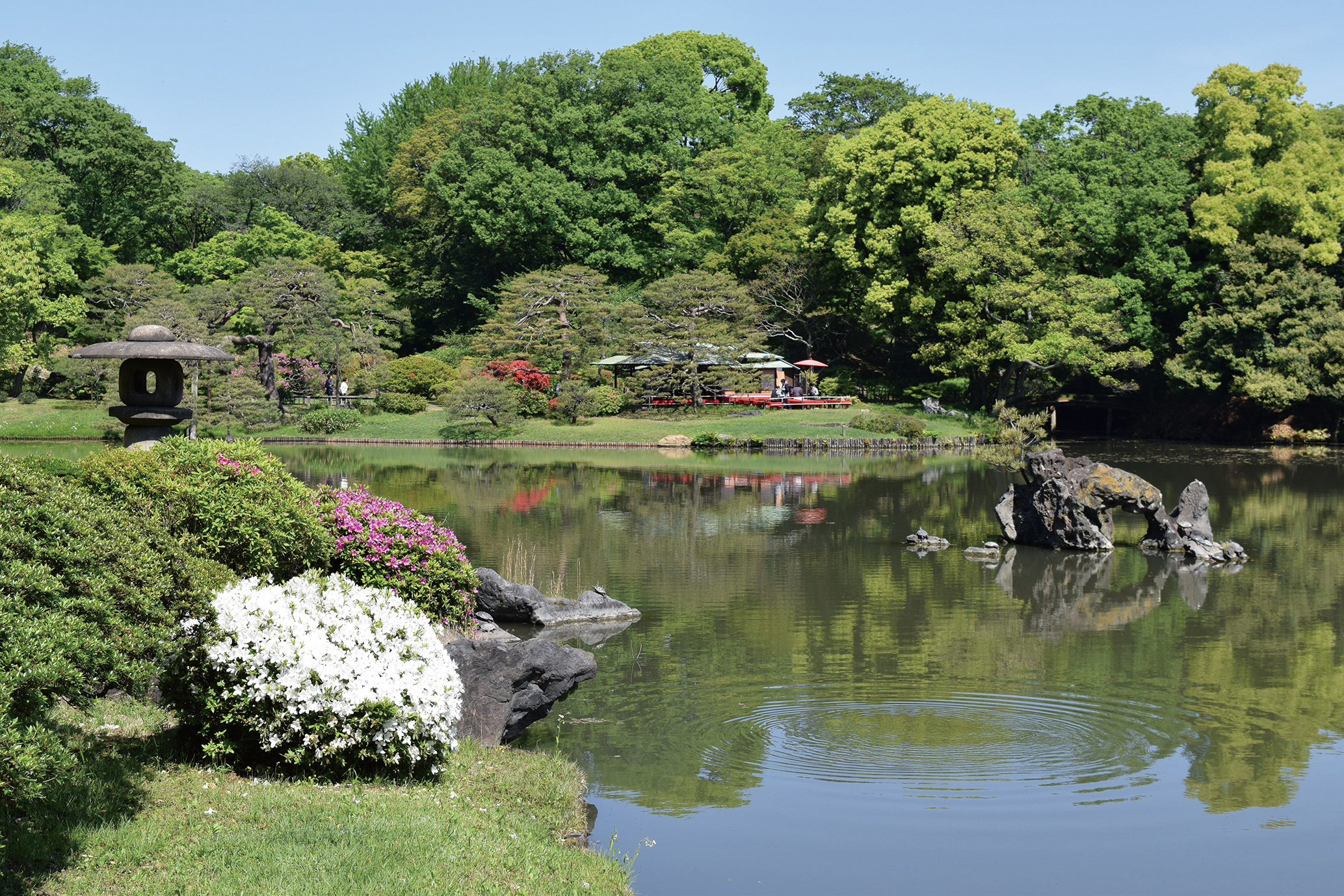 六義園 | 文京区観光協会