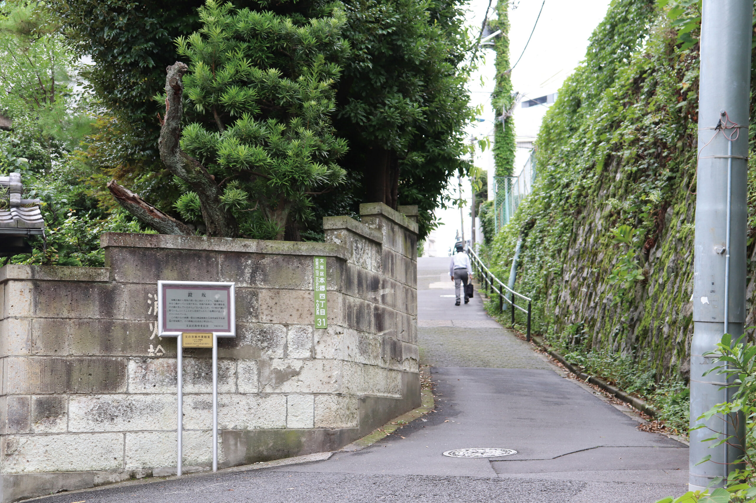 目で見る文京区の１００年 写真が語る激動のふるさと一世紀  /郷土出版社（単行本） 目で見る文京区の100年: 写真が語る激動のふるさと一世紀 |本